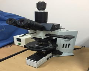 Polarized Optical  Microscopy 1.png