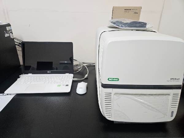 실시간유전자증폭기(Real Time PCR System) 대표이미지